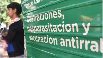 Ahora el turno para castrar o vacunar a tu mascota se pide desde el celular: cómo hacerlo