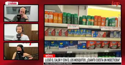 El calor ya se siente en Salta y protegerte de los mosquitos ahora cuesta esto