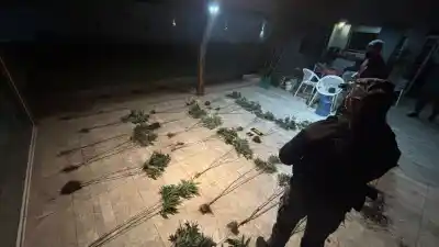 Un vecino vio la puerta rota y avisó a la Policía: lo que encontraron adentro lo dejó sin palabras