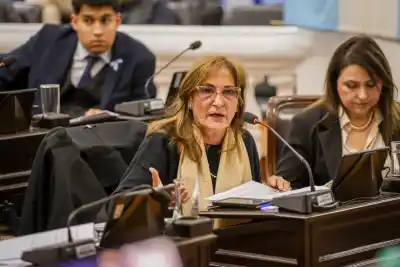 Murió un senador y su banca quedó en el aire: la decisión que nadie esperaba