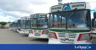 Viajaba en el colectivo, dos frenadas la sacaron del asiento y ahora la empresa deberá pagar una cifra millonaria