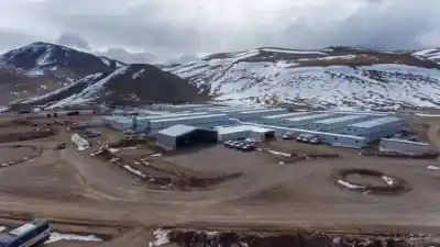 La pulseada millonaria por el transporte de Vicuña: quién se queda con el negocio