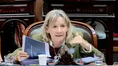Una diputada catamarqueña apuntó contra el ajuste en discapacidad: “Es gravísimo y estigmatiza”