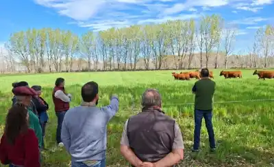 Se juntaron en 25 de Mayo para hablar de ganadería y terminaron adentro de una cabaña