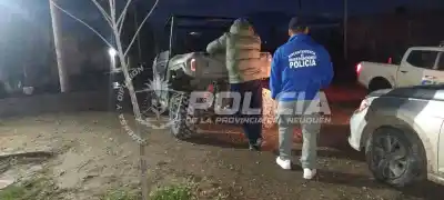 Robaban en casas de fin de semana del Mari Menuco: lo que apareció en los allanamientos
