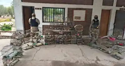 Entraron a una casa de Guaymallén y no podían creer lo que había adentro: 55 razones para una detención