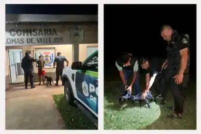 Iban en moto con dos chivos recién nacidos y no pudieron explicar de dónde salieron