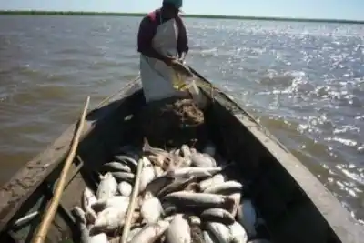 Corrientes levantó la veda de pesca en el Paraná: la hora exacta que muchos esperaban