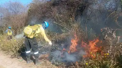 Tres de la madrugada, eucaliptos en llamas y un vecino que se negó a apagar el fuego