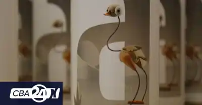 Córdoba se prepara para una cita que paraliza a la animación mundial: llegan obras de 37 países