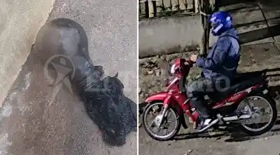 Metán: el método que usó el motociclista para atacar dos casas de madrugada