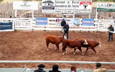 Deán Funes se prepara para una expo que no se ve todos los años