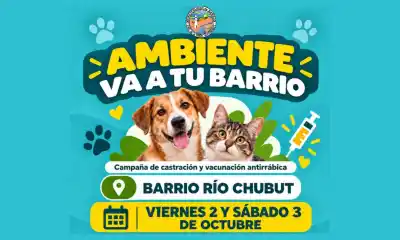 Rawson: el barrio que tendrá dos días de castración, vacunación y una limpieza a fondo