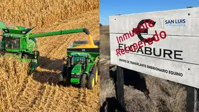 Cobró el maíz del campo El Caburé, pero el fiscal no llama a los que dieron la orden