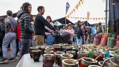 Se sentó a negociar con Chile y lo que firmó puede cambiar los viajes a la cordillera