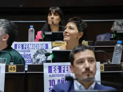 Mayra Mendoza estalló contra la Corte por la Ley de Tierras: "Se llevó por delante"