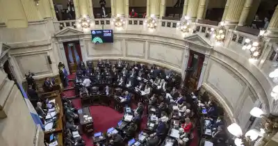 Una senadora mendocina se metió en el podio del Congreso: los proyectos que la pusieron tercera