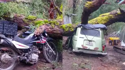 Un cartero de Villa La Angostura perdió su moto bajo un árbol y ahora pide una mano