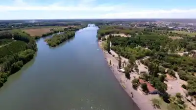 Río Negro ya no produce todo lo que come su ganado: el plan que cambia a Valle Medio