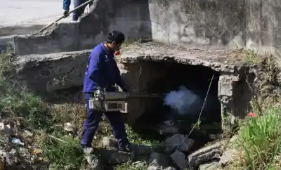 El mosquito del dengue no se fue en invierno: el dato que encendió las alarmas en Tucumán