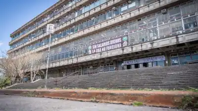 Docentes universitarios van al paro y el Gobierno apeló sobre la hora: qué pasa con los salarios