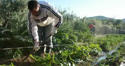 El Súper Niño no solo trae tormentas: los campos de Mendoza podrían vivir un giro inesperado