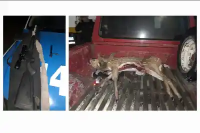 Salieron a cazar de noche, pero la policía ya estaba esperando: lo que había en la camioneta
