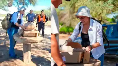Operativo en el monte: rescataron una pieza centenaria que emergió de la tierra