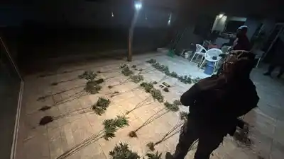 Fueron por un robo, pero lo que había adentro los dejó con las manos llenas