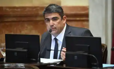 La Corte habilitó la compra de tierras por extranjeros y un senador pampeano lanzó una dura advertencia