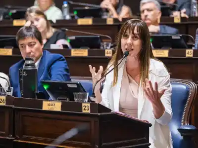 La Legislatura bonaerense dio un paso clave: los chicos podrían tener su propio abogado en la Justicia