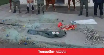Ocultaron redes de pesca entre los pastizales: lo que encontró la patrulla montada