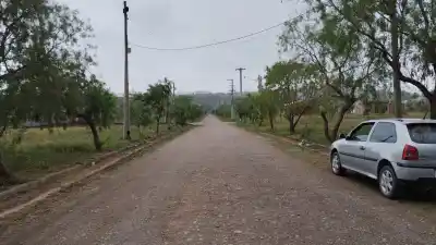 Envenenaron a los perros del barrio y lo que encontraron junto al arroyo heló la sangre