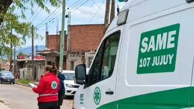 Lo picó una avispa en plena reunión familiar y terminó internado sin signos vitales en el Snopek