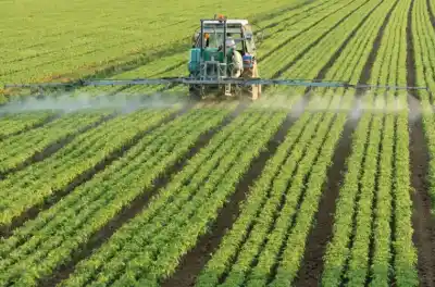 Fumigaciones en Entre Ríos: el caso que puede terminar en la Corte Suprema
