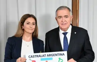 Una gatita de un mes llegó a la veterinaria con una herida y un hallazgo que activó al Gobierno