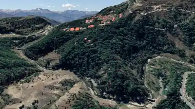 Una ladera pelada en 1992, hoy es un bosque que sorprende a los científicos