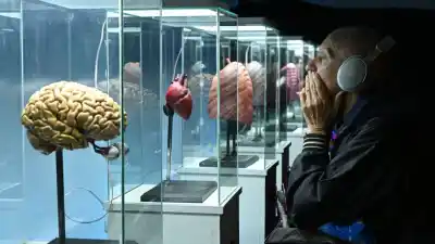 En la Feria del Libro podés meterte en un cuerpo humano: la experiencia que sorprende a todos
