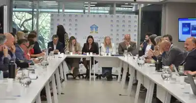 Mendoza depende de un insumo importado para sus viñedos: el proyecto que busca cambiarlo dio un paso clave en el Senado