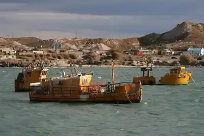 Torres quiere mover la pesca de Caleta Córdova: el detalle que cambia todo