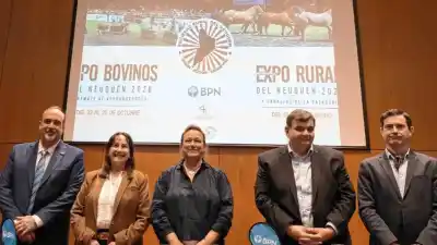 Neuquén pone $1.000 millones para que los productores compren toros: la condición que casi nadie vio