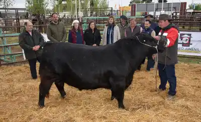 La Expo Rural 100 de La Pampa abrió con un toro y una cifra que no se veía hace años