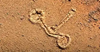 Un andinista vio algo rarísimo en Google Earth: 8 meses después llegó y encontró esto a 3000 metros