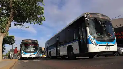 El boleto del COLE sube 22%: cuánto costará y por qué sigue siendo el más barato del país