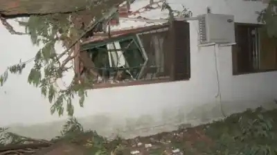 Un árbol partió el techo y bloqueó la puerta: el relato del cuidador que quedó atrapado