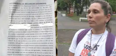 Atacaron a balazos a dos gatitos recién nacidos en Tafí Viejo: uno murió y el otro pelea por su vida