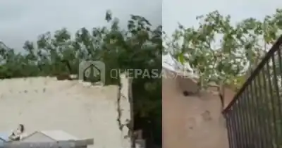 Fue a frenar el robo de dos tumbas y terminó usando fuegos artificiales: "Un sereno no puede controlar todo"