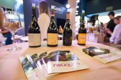 15 expertos internacionales probaron los vinos neuquinos: la reacción que nadie esperaba