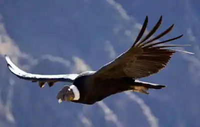 La Cumbrecita se prepara para un domingo distinto: llega un video que promete cambiar la mirada sobre las sierras