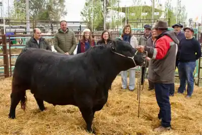 Un toro llamado "Centenario Pampeano" abrió la Expo Rural número 100 de Santa Rosa